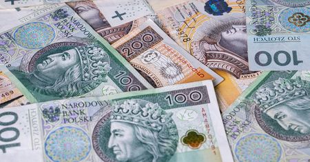 Oto jak kurs złotego zachowuje się po kluczowej decyzji RPP