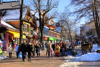 Zakopane: Wielka atrakcja w Zakopanem. Wystarczy, że skosili trawę