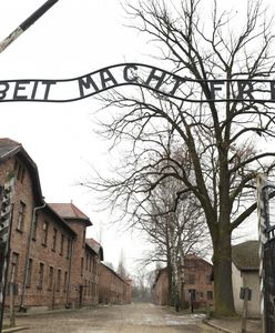 Włochy. Znów mówiono o "polskich obozach śmierci". Będzie interwencja