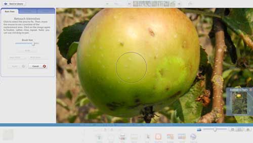 Picasa 3 (beta) - testujemy nowe funkcje 2