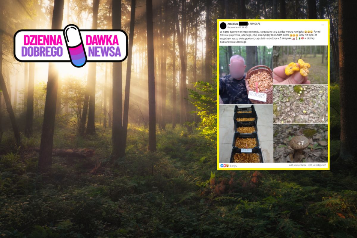 To nie żart. Wynoszą pełne kosze. "Kilka tysięcy"