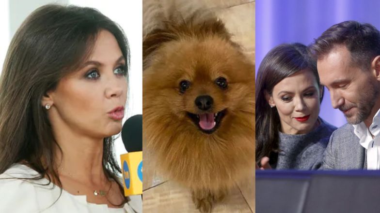 Kinga Rusin poruszona zastrzeleniem psa Adama Konkola