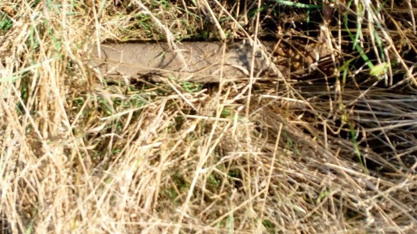 Niewybuch z czasów II wojny światowej