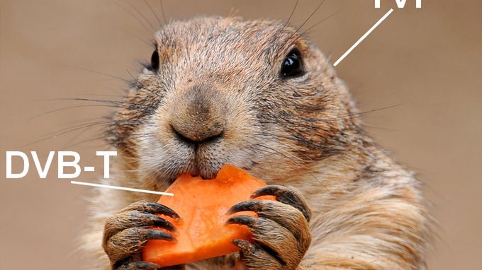 TVP ma apetyt na więcej DVB-T 1