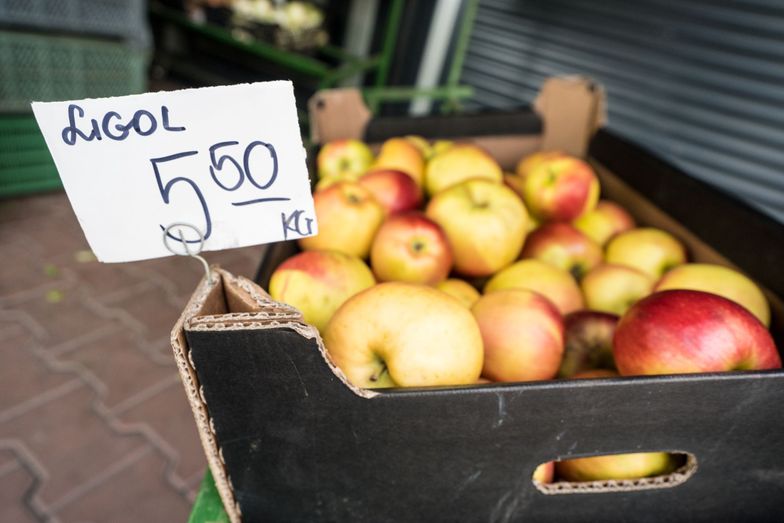 Sadownicy zdesperowani. "Jest załamanie na rynku". Sieci handlowe za jabłka płacą 1 zł. Sprzedają nawet 5 razy drożej
