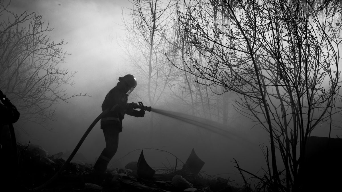pożar straż pożarna gaszenie las strażak 