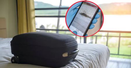 Nie kładź walizki na łóżku w hotelu. Możesz pożałować