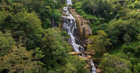 Koszmar na Sri Lance. Turystka nie żyje