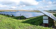 Prosumenci zużywają tylko 20 proc. energii. Reszta trafia do sieci