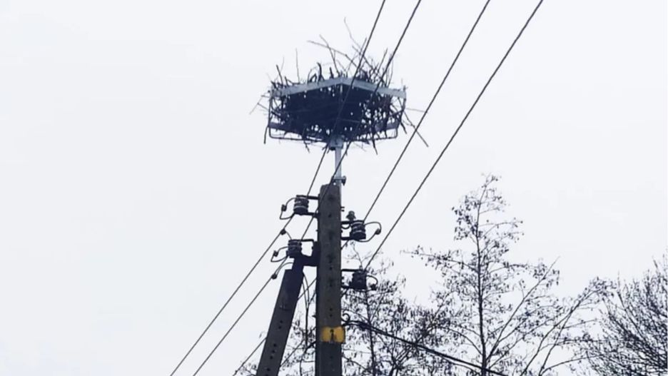  Enea Operator zamontowała specjalną platformę na słupie