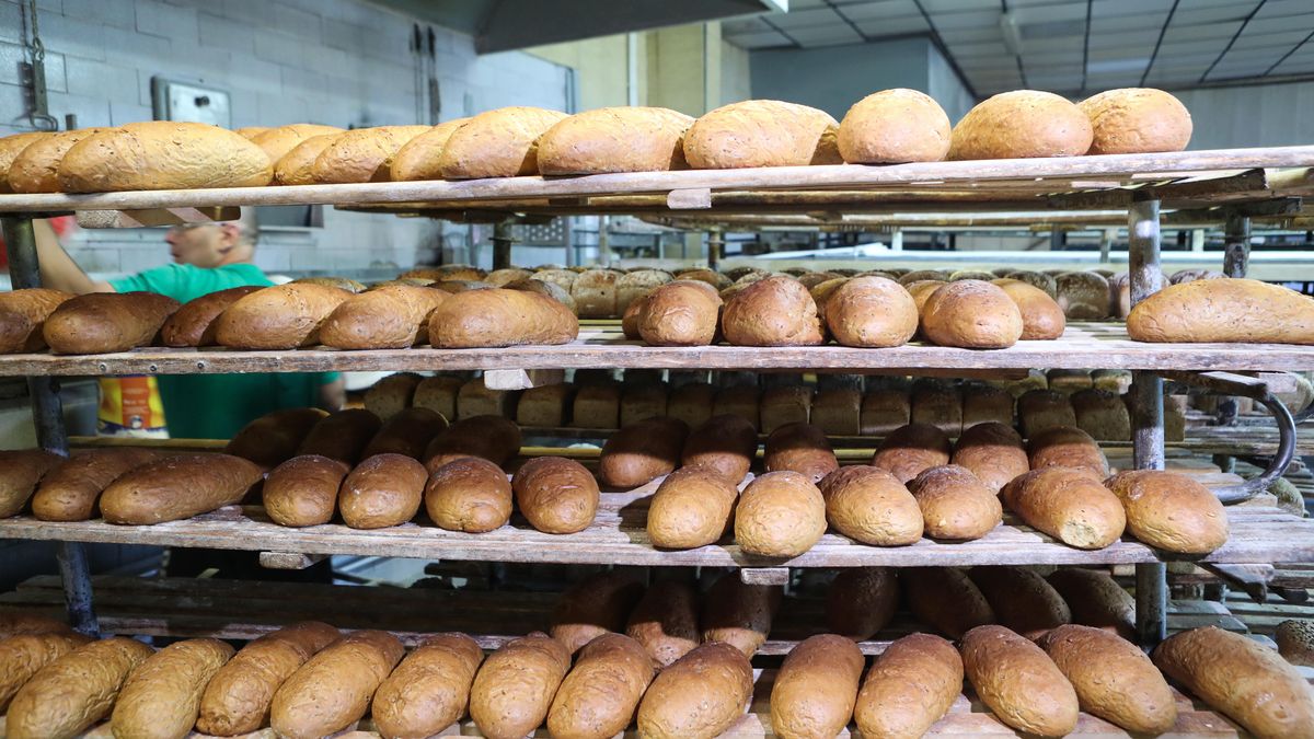 Ceny chleba nie spadną - twierdzą piekarze