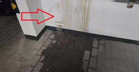 Zdjęcia z bloku w Toruniu. Ludzie się skarżą, deweloper odpowiada