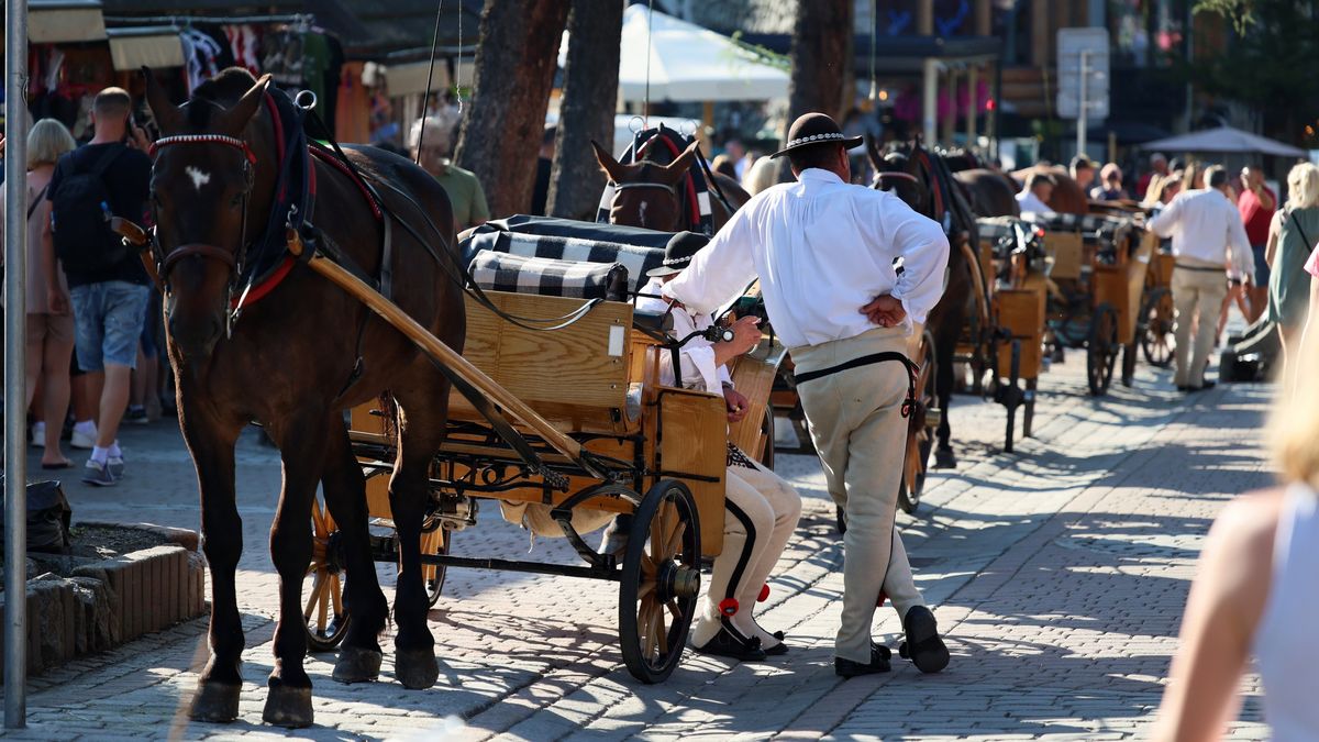 zakopane, góral