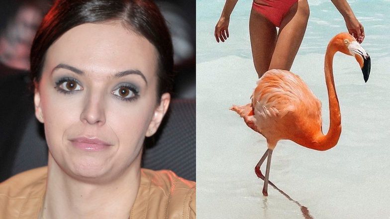 Anna Wendzikowska krytykowana za zdjęcia z flamingami