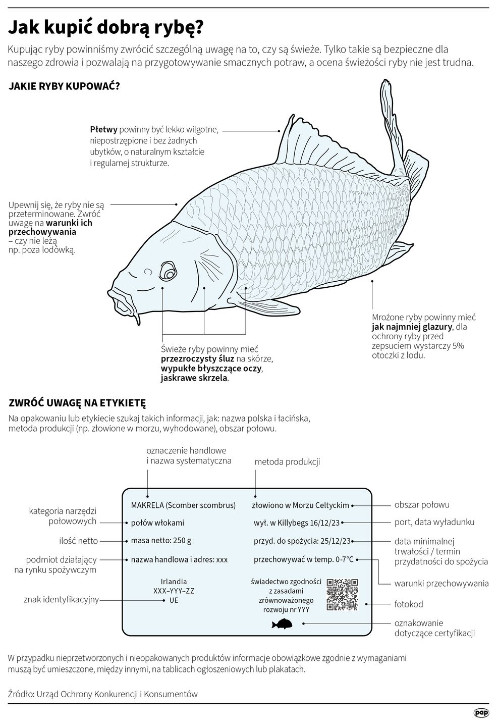 Jak kupić dobrą rybę? Rady UOKiK
