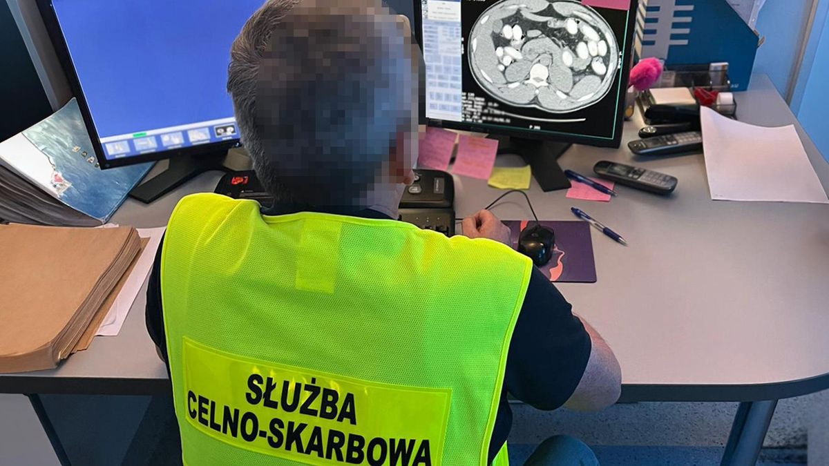 zdjęcie