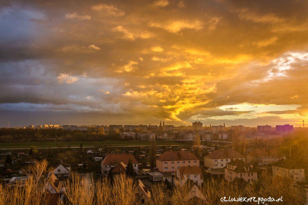 Paweł Szpala fotografował przez rok widok ze swojego okna. Inspiracja na zdjęcia 4 pór roku bez wychodzenia z domu 2