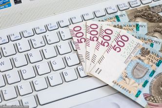 Powstaje więcej firm, ale jedna branża jest wyjątkiem. GUS podał najnowsze dane