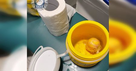 Chciał wwieźć kokainę do Australii. Pokazali, jak ją przemycał