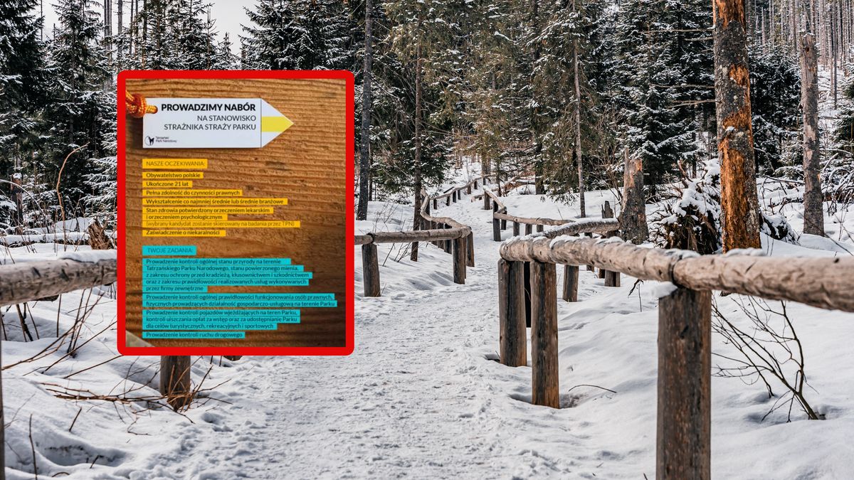 Tatrzański Park Narodowy szuka rąk do pracy.