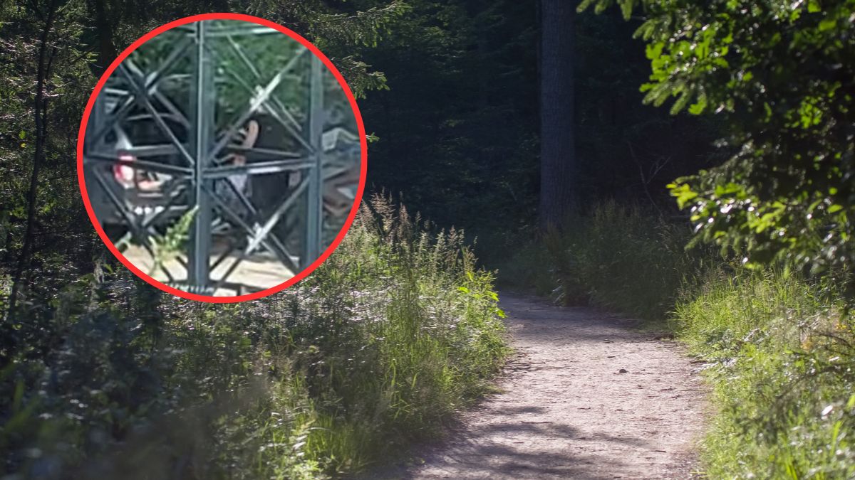 Wyrzucał śmieci na nielegalnym wysypisku. Wszystko zostało nagrane