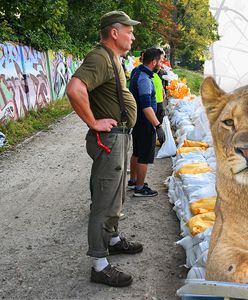 Serce ZOO zagrożone. "Jeżeli wdarłaby się woda, nie udałoby się uratować obiektu"