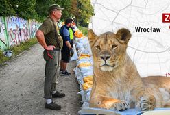 Serce ZOO zagrożone. "Jeżeli wdarłaby się woda, nie udałoby się uratować obiektu"