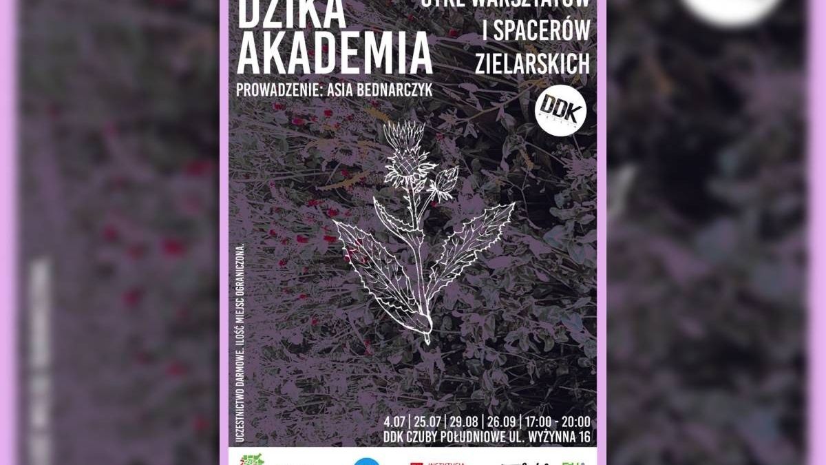 grafika dzika akademia