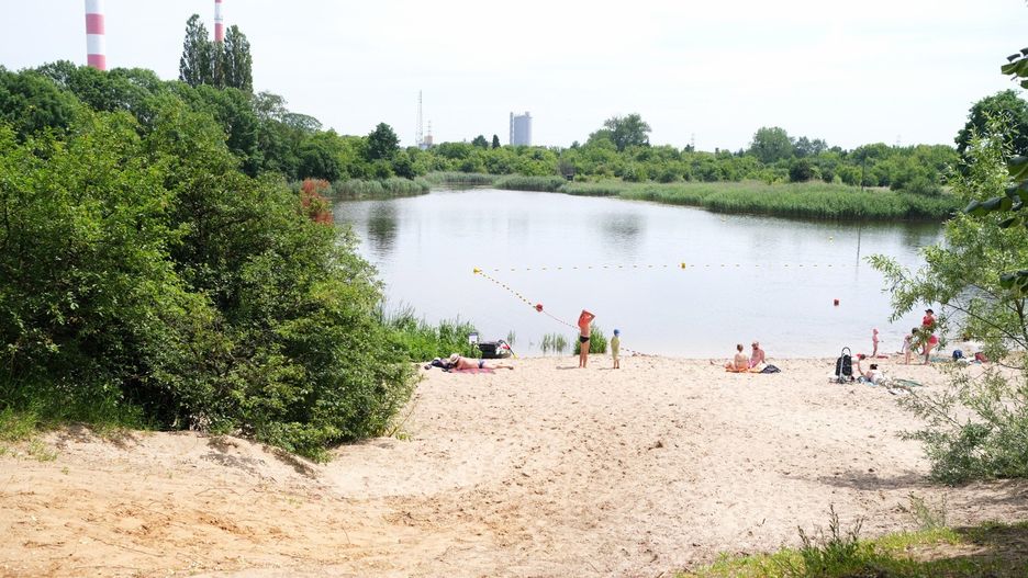 Zakaz kąpieli w Jeziorku Czerniakowskim