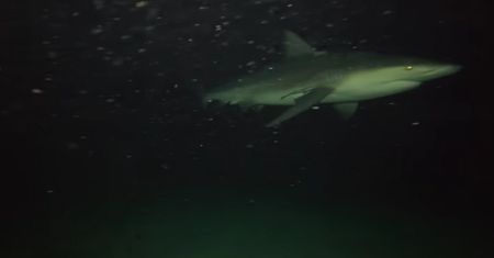 Upuścił kamerę prosto do oceanu. Widzowie byli w szoku
