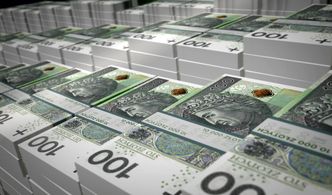 Raport CEE Outlook. E-commerce będzie będzie rósł szybciej niż PKB