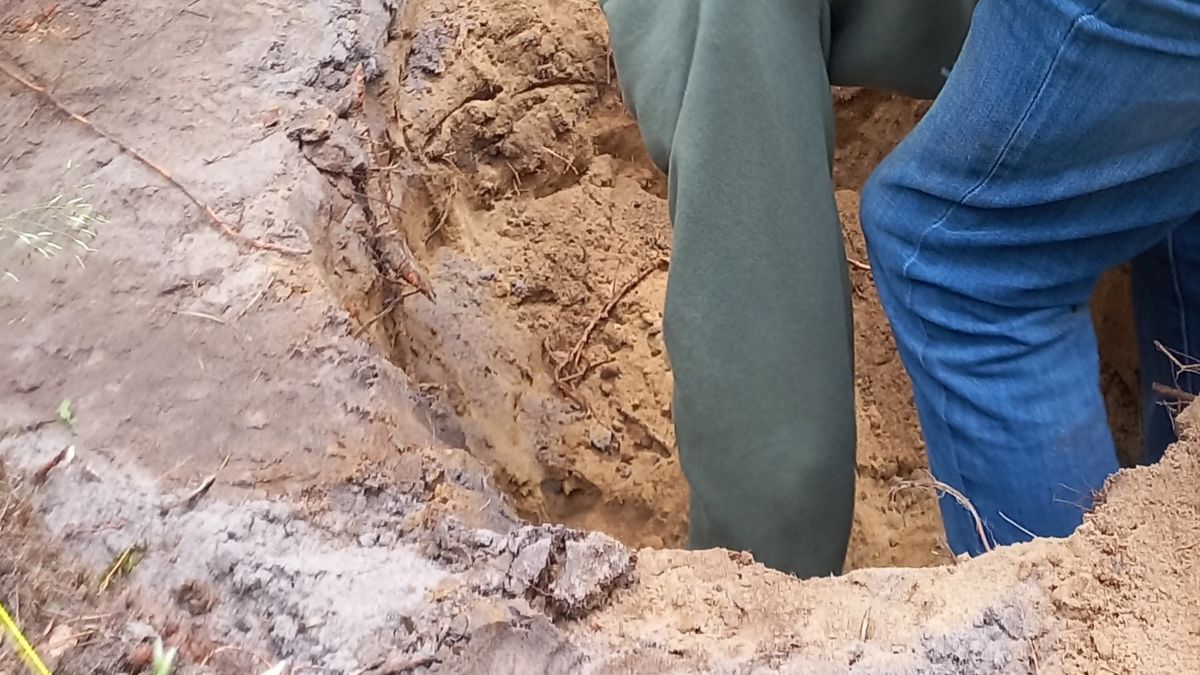 Niezwykłe odkrycie w Nadleśnictwie Grodziec.