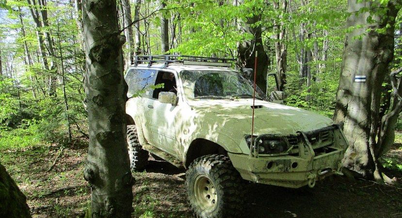 Rozjeżdżają lasy. Idzie bat na quady i offroadowców