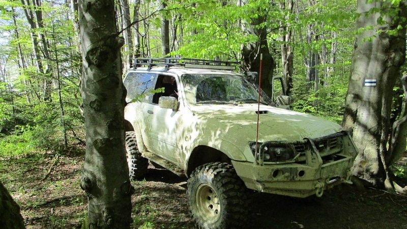 Jeden z przypadków rozjeżdżania lasów