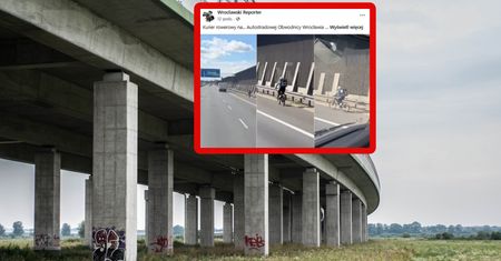 Skandaliczne sceny na AOW. "Wszedł poziom wyżej". Brak słów