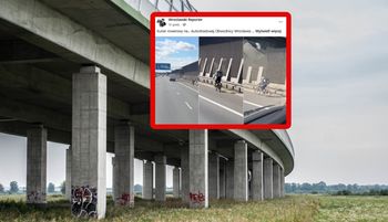Skandaliczne sceny na AOW. "Wszedł poziom wyżej". Brak słów
