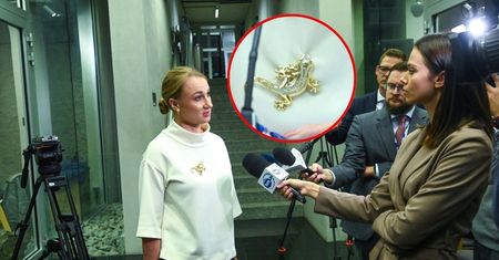 Brejza zeznawała przed komisją ds. Pegasusa. Jej broszka przykuła uwagę
