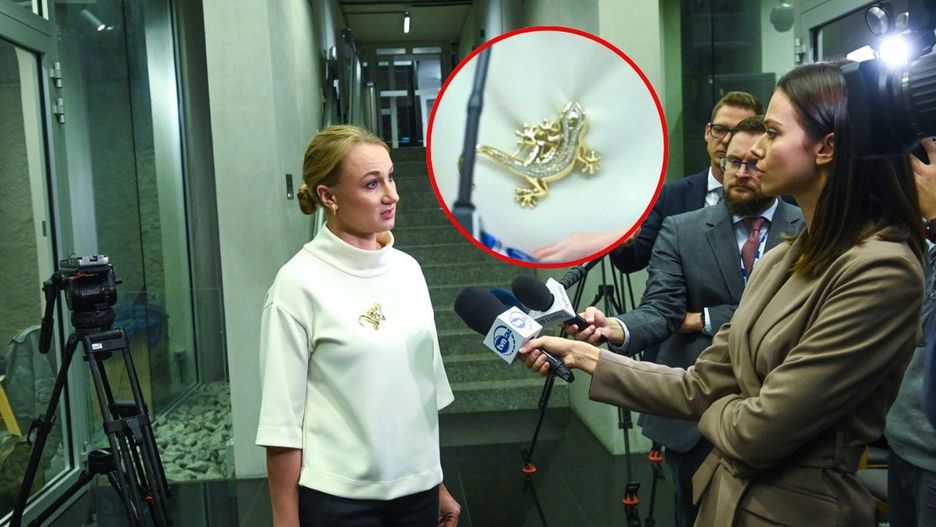 Brejza przed komisją ds. Pegasusa. Uwagę przykuła jej broszka. "Symboliczna"