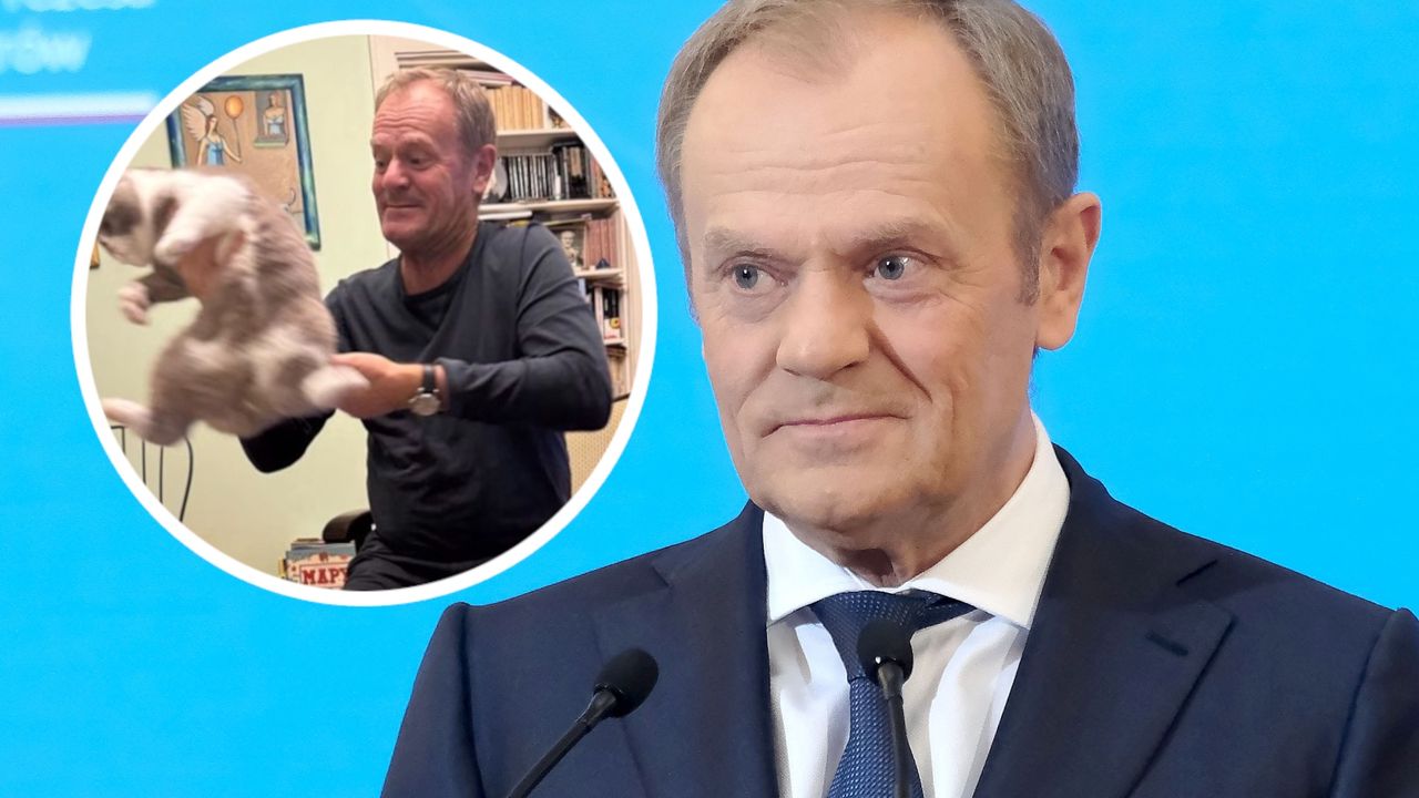 Donald Tusk sprawił sobie nowego zwierzaka. Jednym zdjęciem wywołał ostrą dyskusję