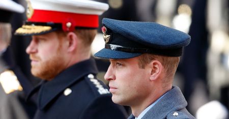 Biografka księżnej Diany ujawnia kulisy konfliktu Williama i Harry'ego. Kłócili się na długo przed pojawieniem się Meghan Markle...