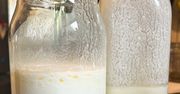 Bije na głowę kefir i maślankę. Najzdrowszy napój dla jelit