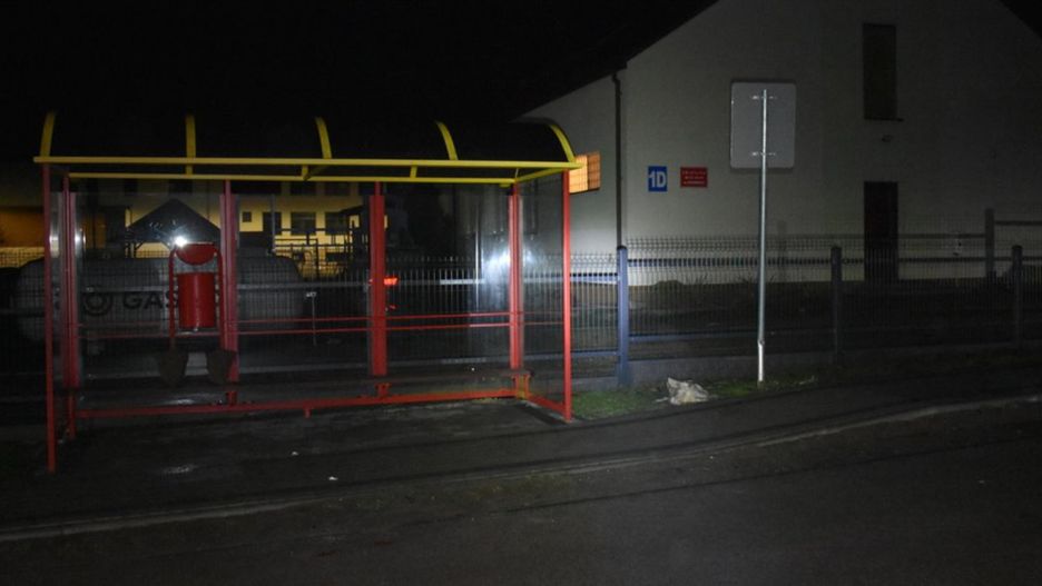 W Zdziarach w powiecie niżańskim doszło do aktu wandalizmu. Fot. KPP Nisko