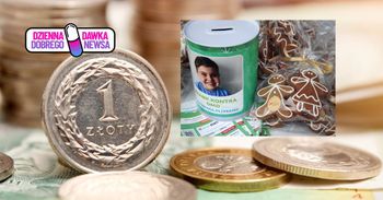 Morsy z Pogorii zanurzyły się dla Franka. Charytatywna akcja przyniosła gigantyczną sumę