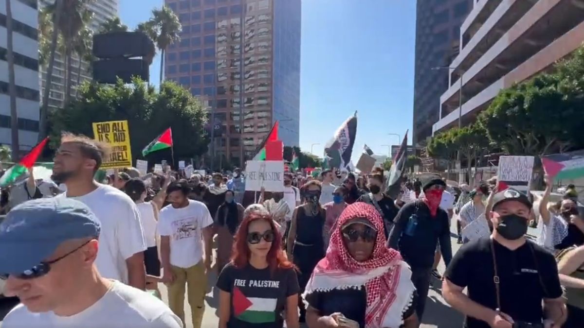 Propalestyńska demonstracja w Los Angeles