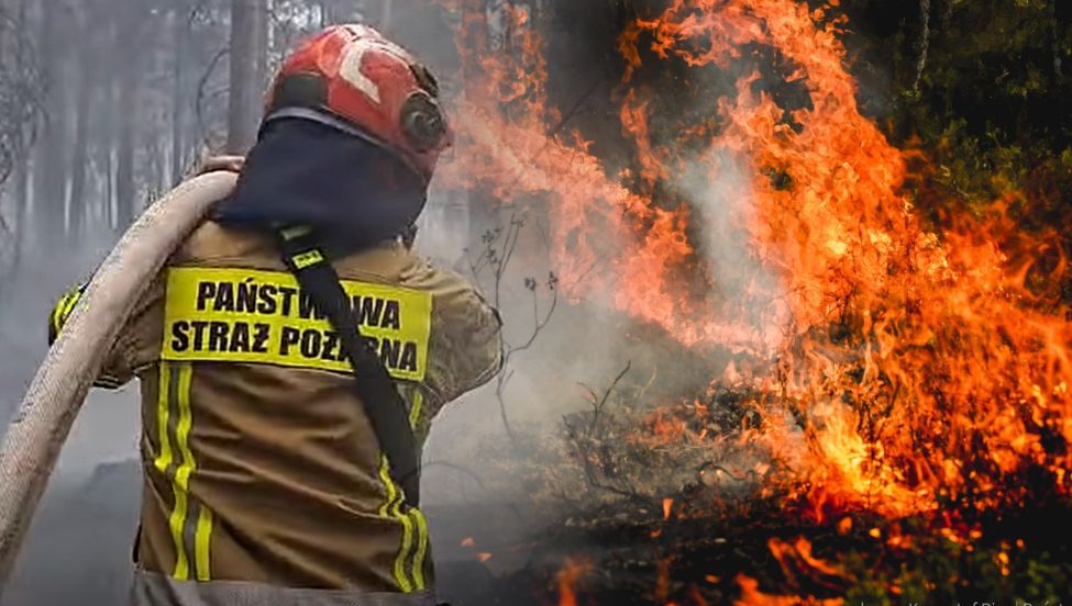 Pożar na Roztoczu. "Płonie coś więcej niż las"