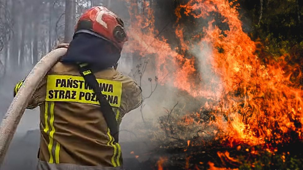 Pożar w Puszczy Solskiej. Wpis Polskich Parków Narodowych
