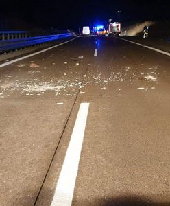 Horror na autostradzie. Zrzucili klozet z wiaduktu