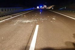Horror na autostradzie. Zrzucili klozet z wiaduktu