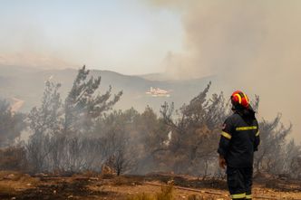 "Powinniśmy się przygotowywać". Pożary to nie tylko problem południa Europy