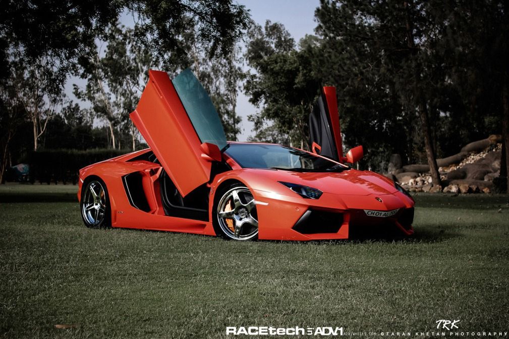 Lamborghini Aventador, felgi ADV.1 i słoń - niecodzienna sesja zdjęciowa [galeria] 3